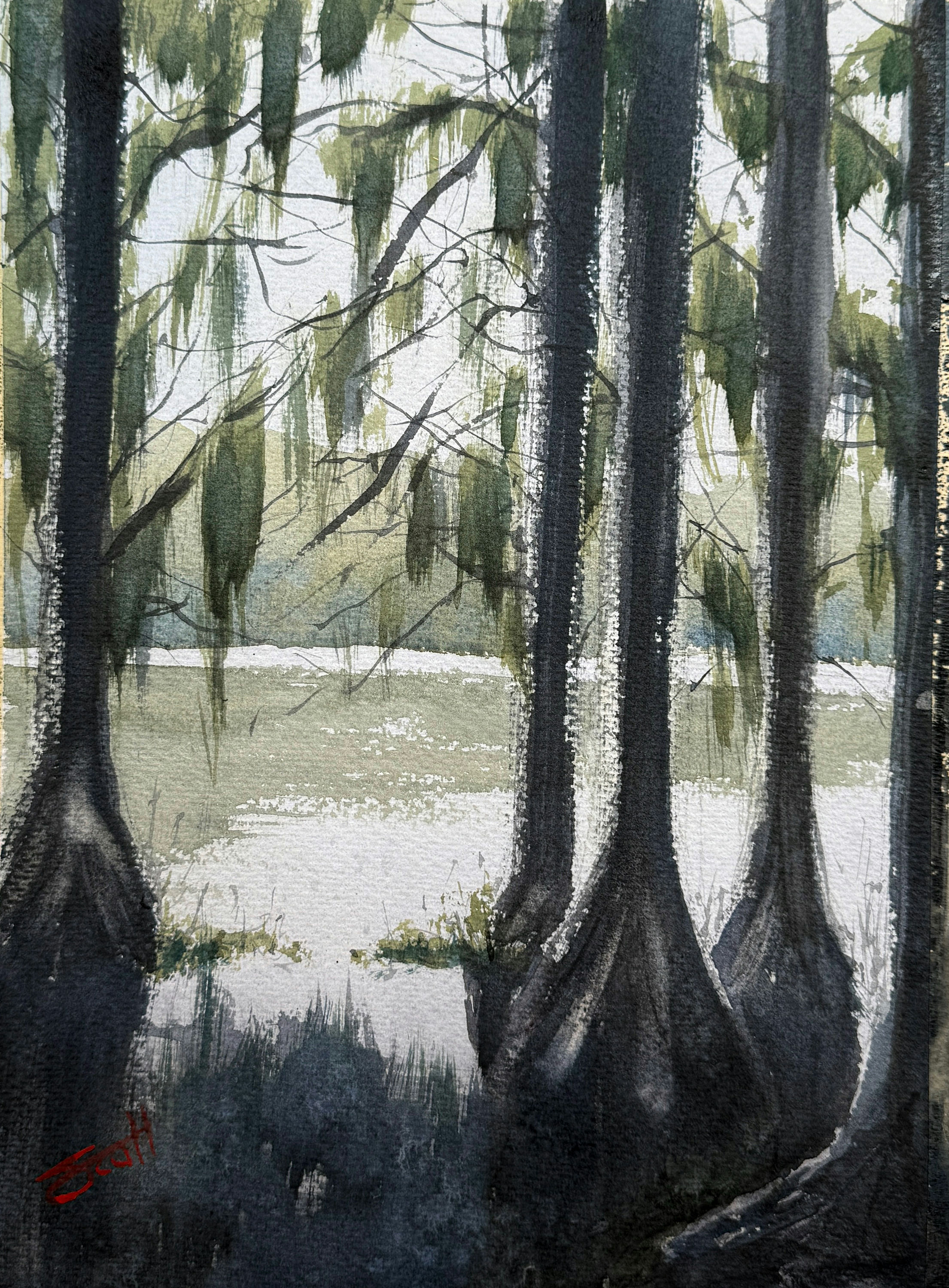 Swamp, Watercolor by Scott Brown