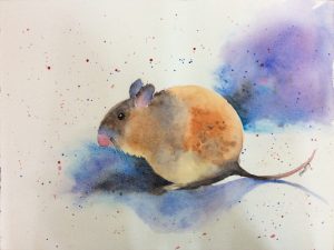 Dumbo, the Rat