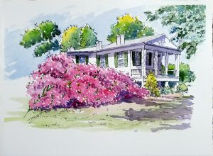 House with Azaleas- Watercolor Line and Wash