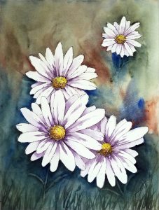 Daisies - Watercolor Line and Wash